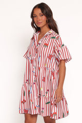 Peachy Mini Dress - Red Picnic Stripe